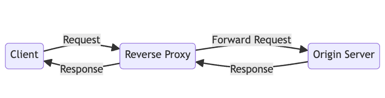 reverse-proxy